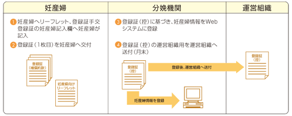 図：妊産婦情報の登録（Webシステム利用の場合）
